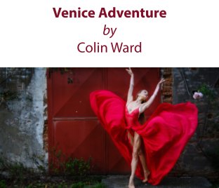 Venice Adventure book cover