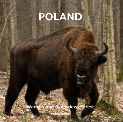 Poland book cover